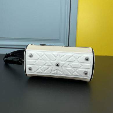 1233 25X13X16.5cm WW (4)