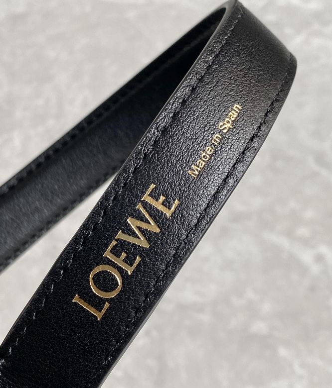 21X12X17cm 081705 SL 2colour (16)