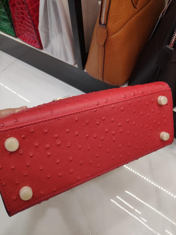 25cm 28cm 081216 JD 5色 (13)