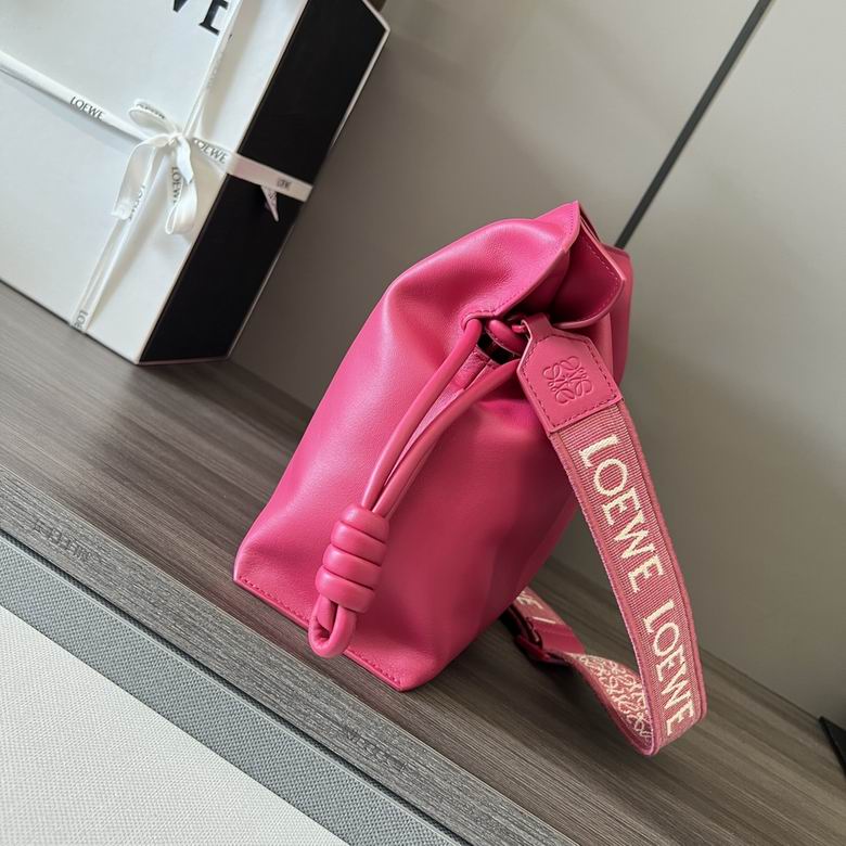 262238 30X24.5X10.5cm SS 2colour (11)