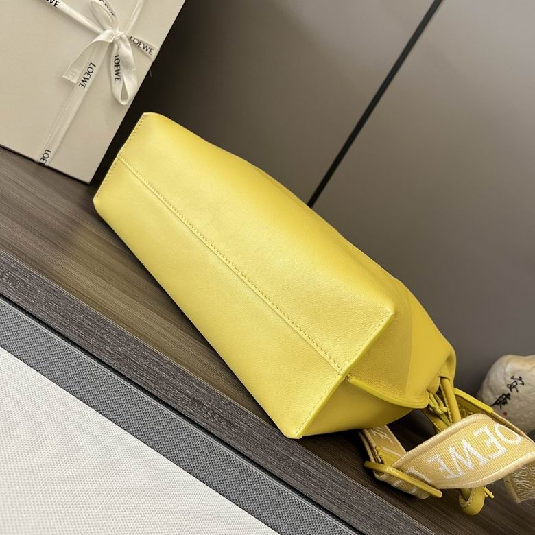 262238 30X24.5X10.5cm SS 2colour (14)