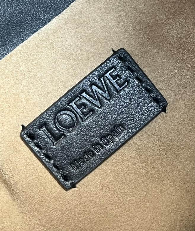 30X24.5X10.5cm 120306 SL 2colour (9)