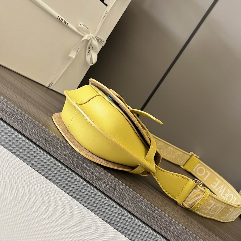 61824 21X12.5X9.5cm SS 2colour (12)