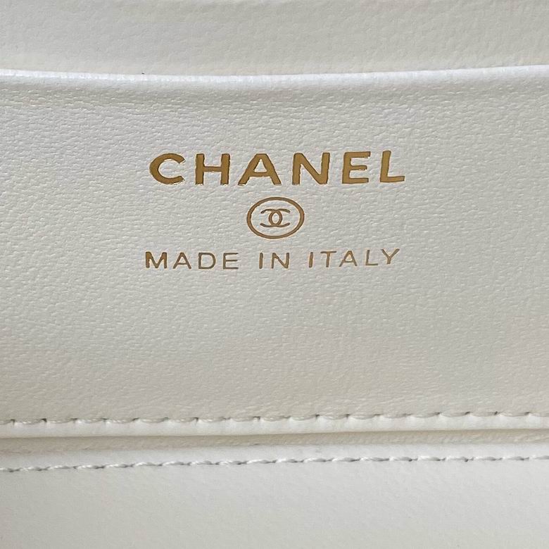 Ap3804 17cm BL 5色 27