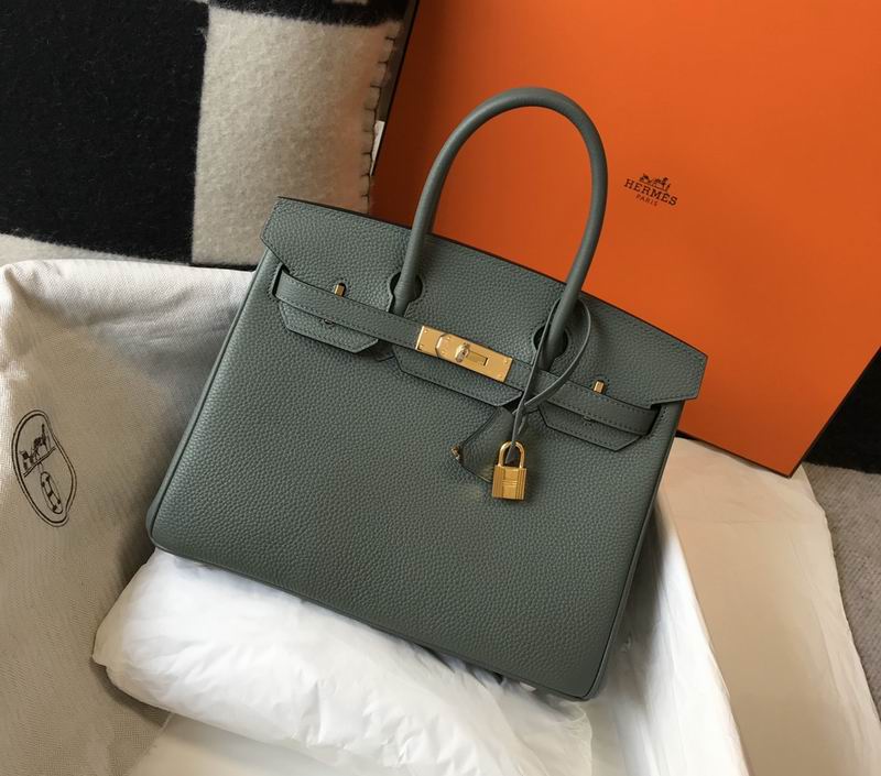 Birkin Dream bag 25cm am 03 (10)