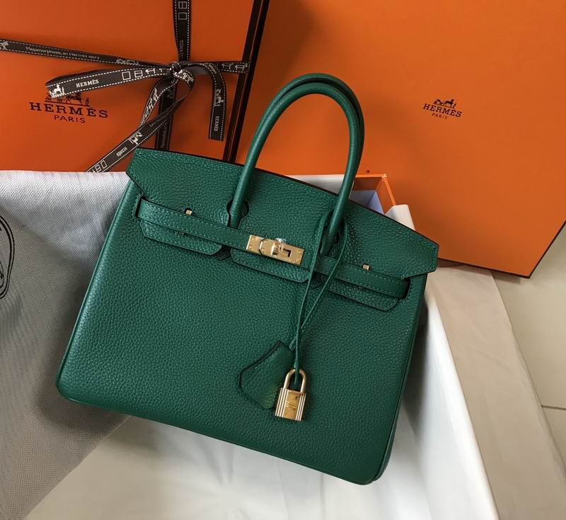 Birkin Dream bag 25cm am 03 (28)
