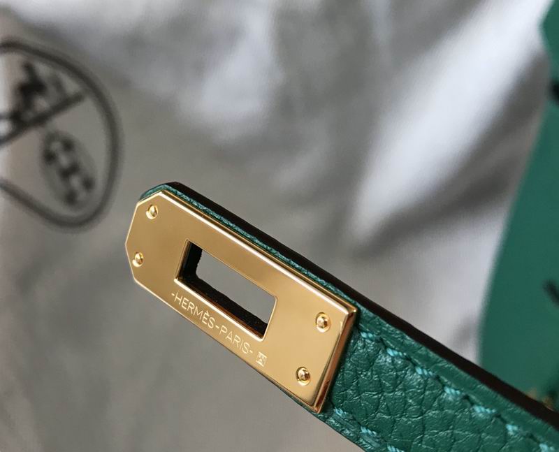 Birkin Dream bag 25cm am 03 (34)