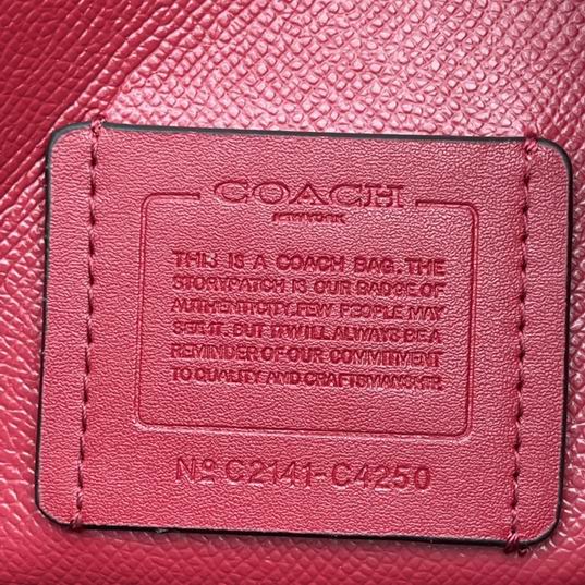 C4250 25X19X12.5cm AZ 5色 18