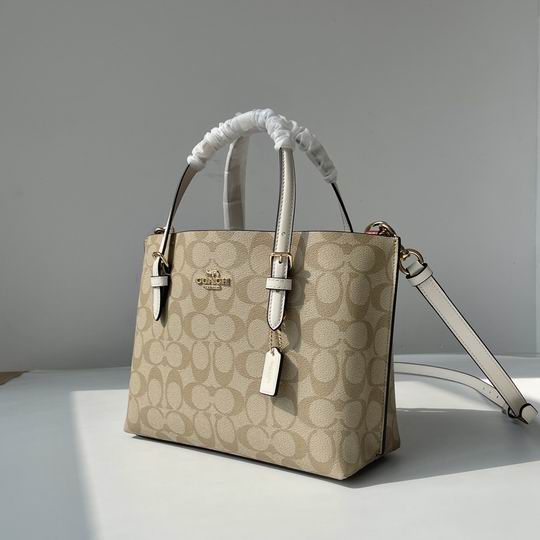 C4250 25X19X12.5cm AZ 5色 21