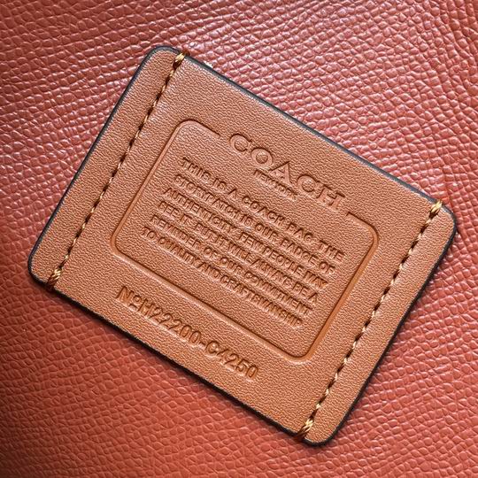 C4250 25X19X12.5cm AZ 5色 27