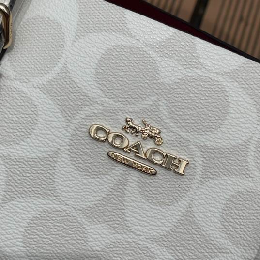 C4250 25X19X12.5cm AZ 5色 33