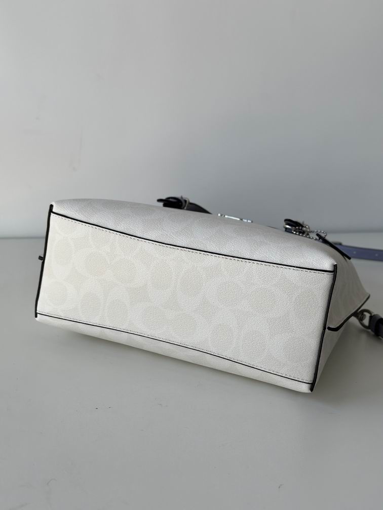 C4250 25X19X12.5cm AZ 5色 40