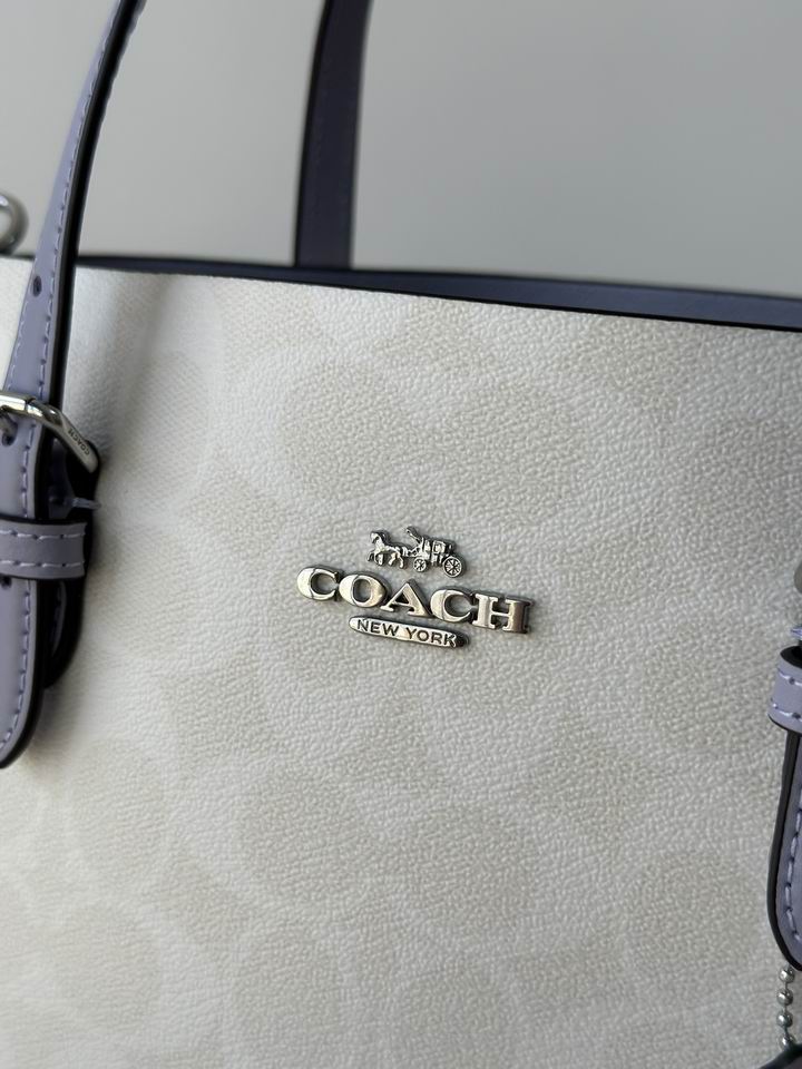 C4250 25X19X12.5cm AZ 5色 41