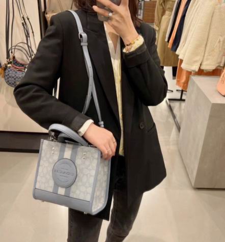 C8417 22X20X11cm AZ 2色 1