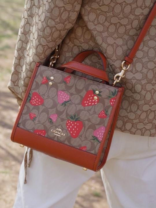 CH324 22X21X12cm AZ 1