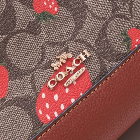 CH324 22X21X12cm AZ 5