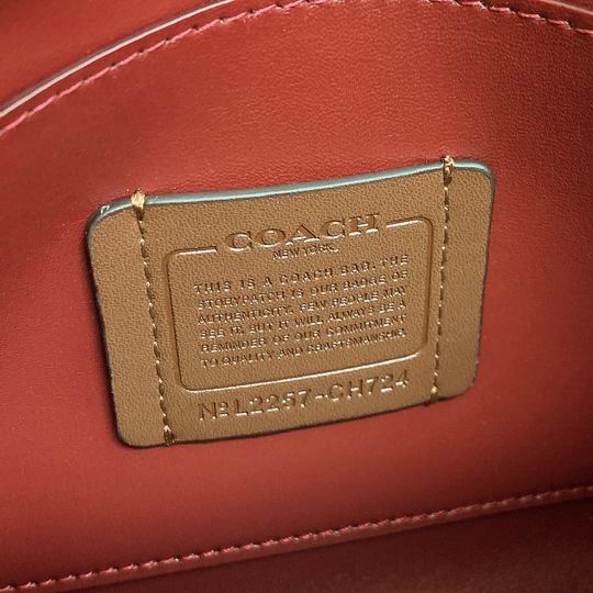 CH724 24X18X11cm AZ 9