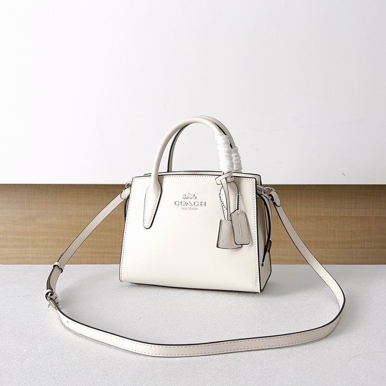 CP080 CP081 CP083 22X16X11cm AZ 3色 19