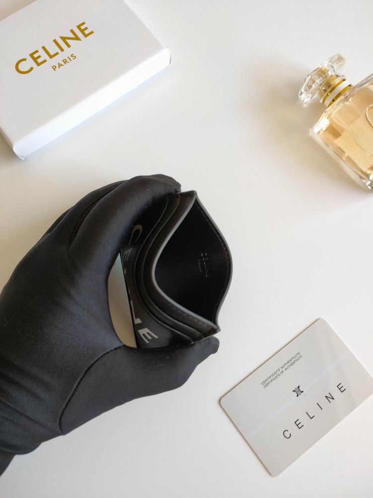 Celin 10B702 10.5x7cm zy1_ (11)