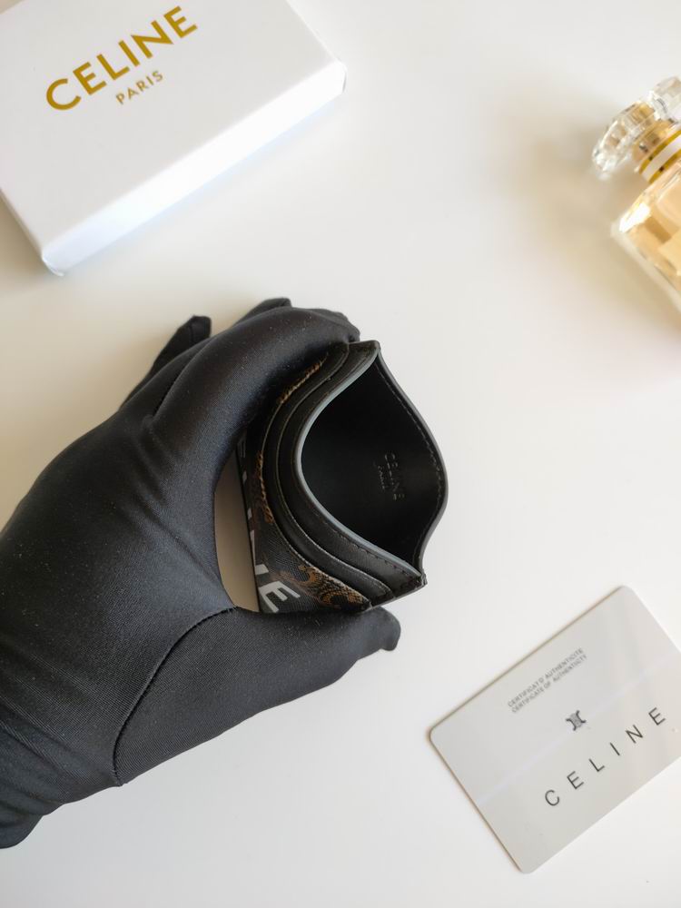 Celin 10B702 10.5x7cm zy1_ (21)