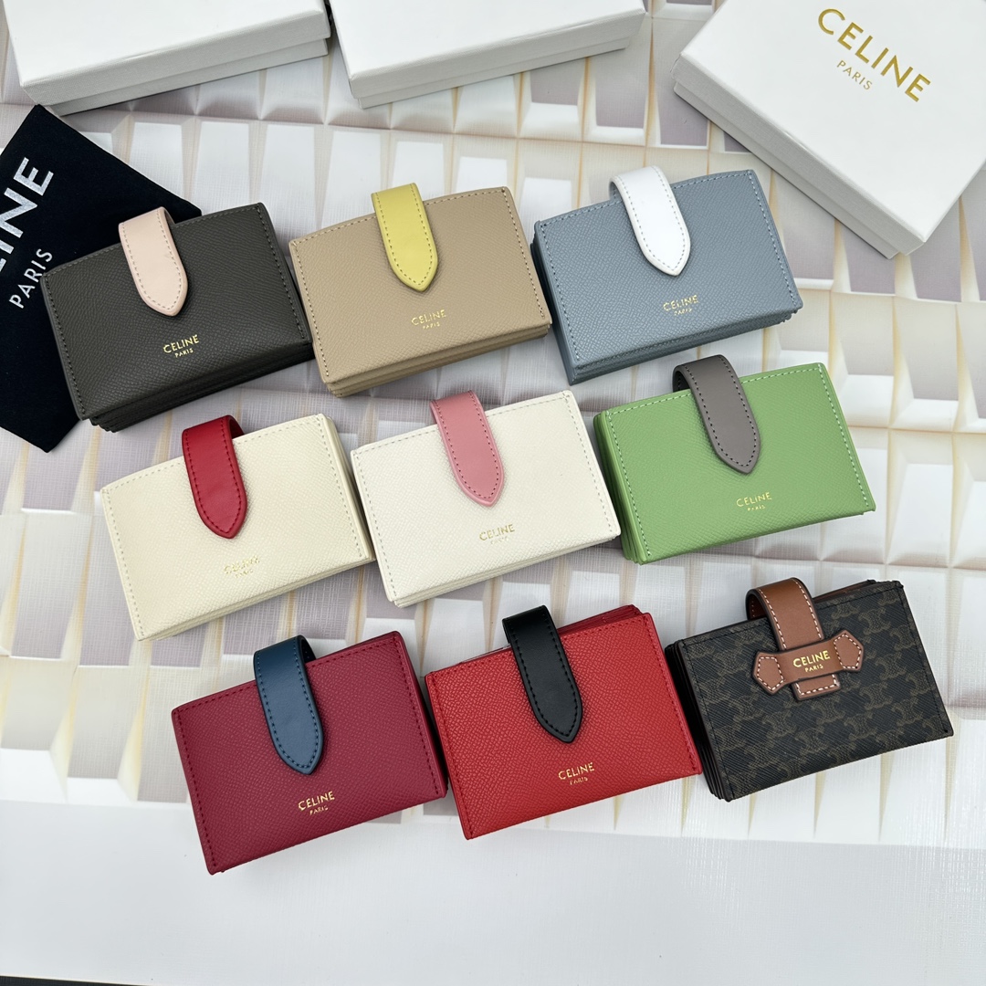 Celine 10693 11x7cm zy (1)_