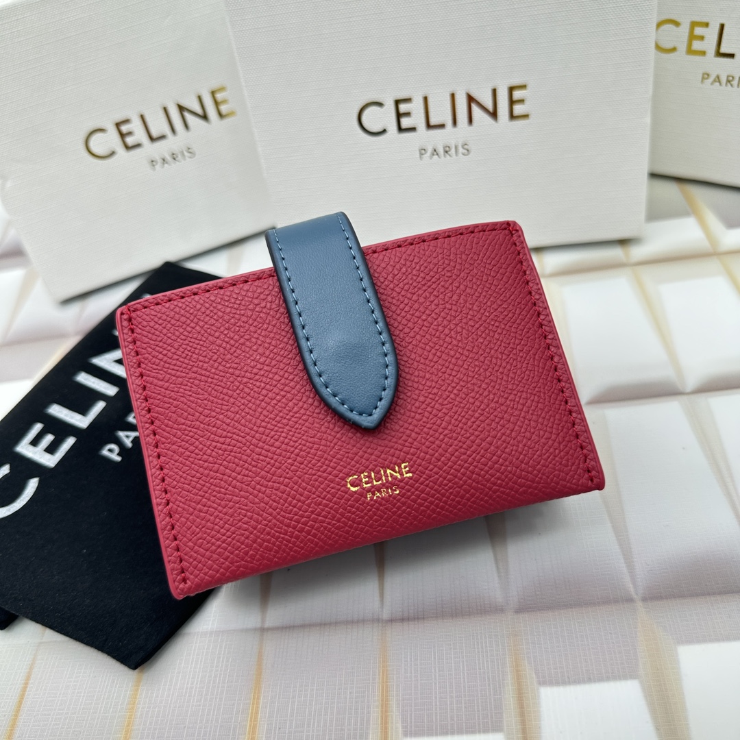Celine 10693 11x7cm zy (11)_