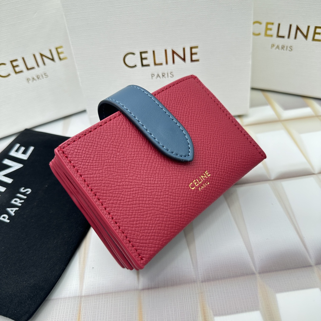 Celine 10693 11x7cm zy (12)_