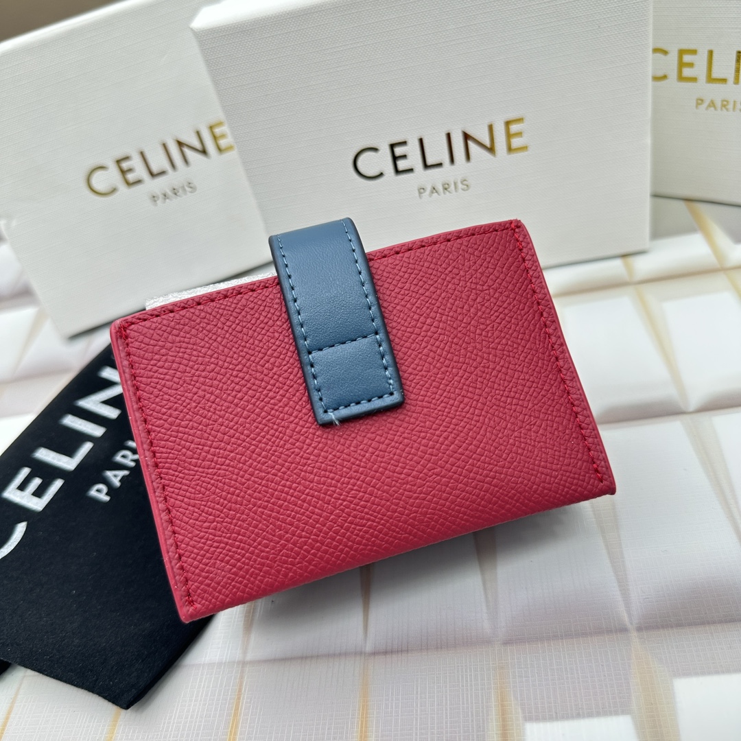 Celine 10693 11x7cm zy (13)_