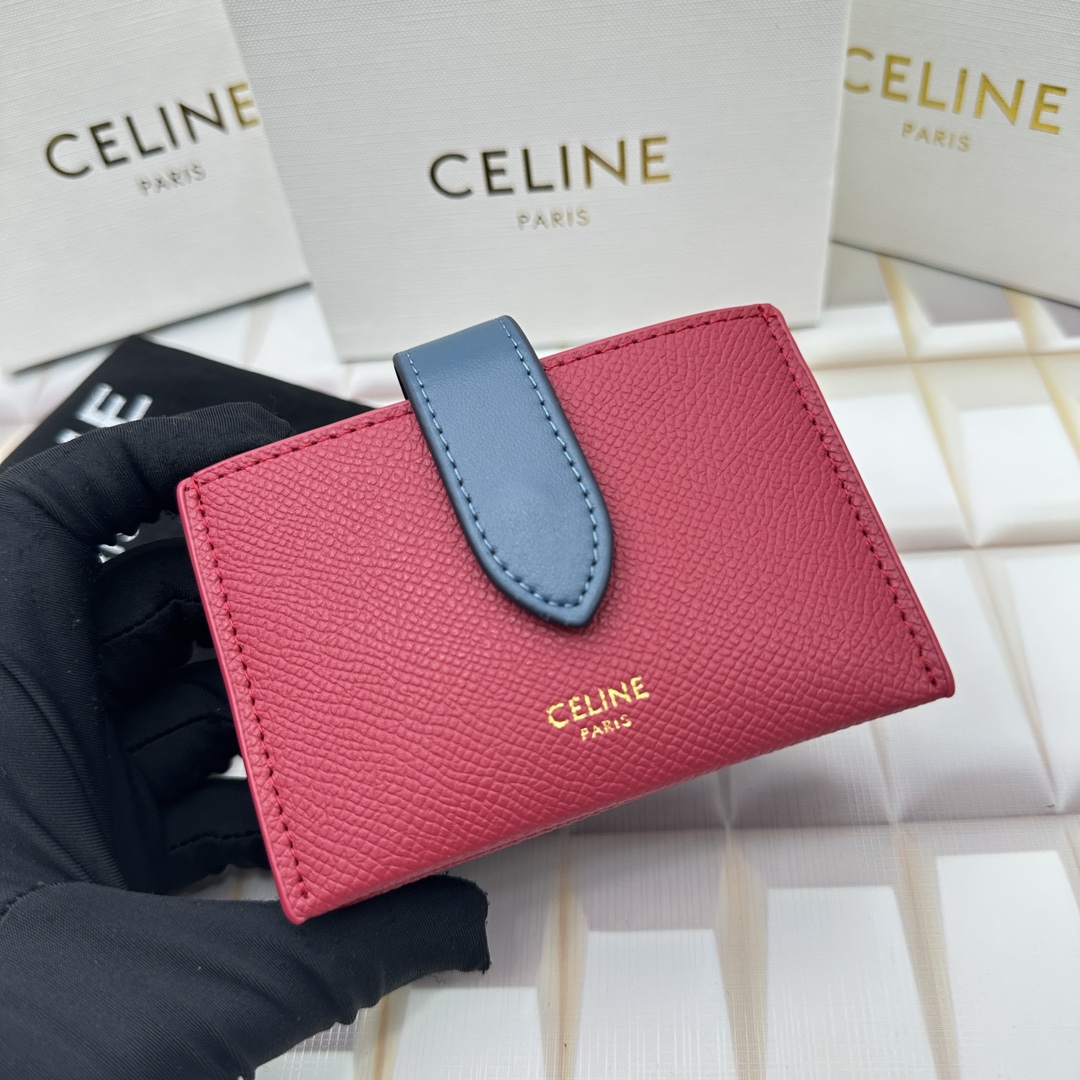 Celine 10693 11x7cm zy (14)_