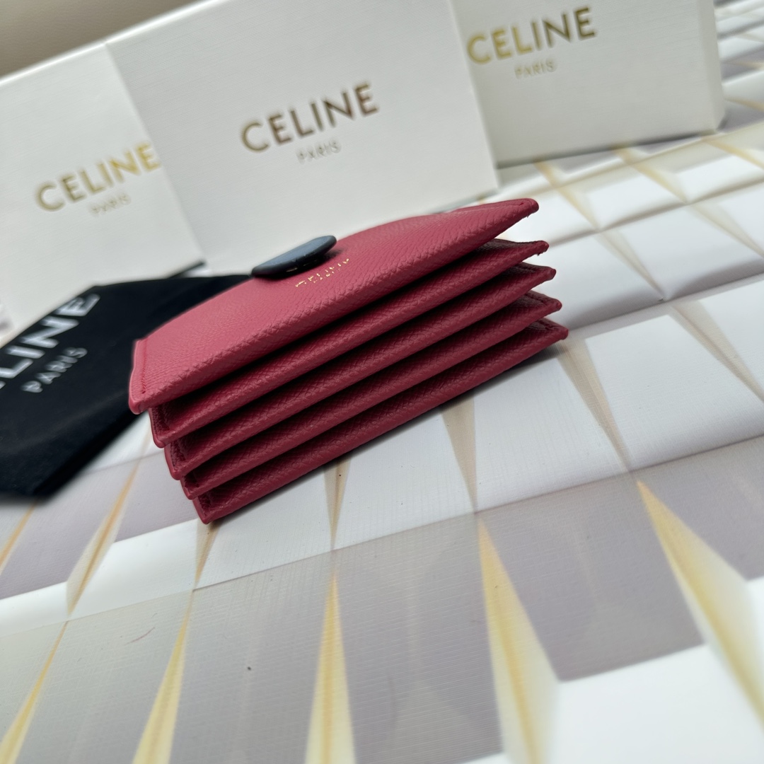 Celine 10693 11x7cm zy (16)_