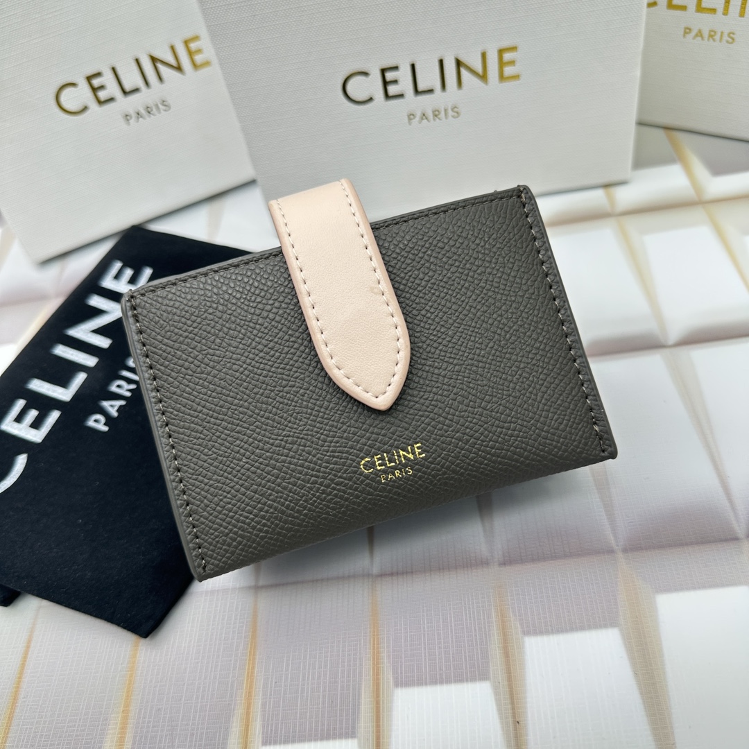 Celine 10693 11x7cm zy (2)_