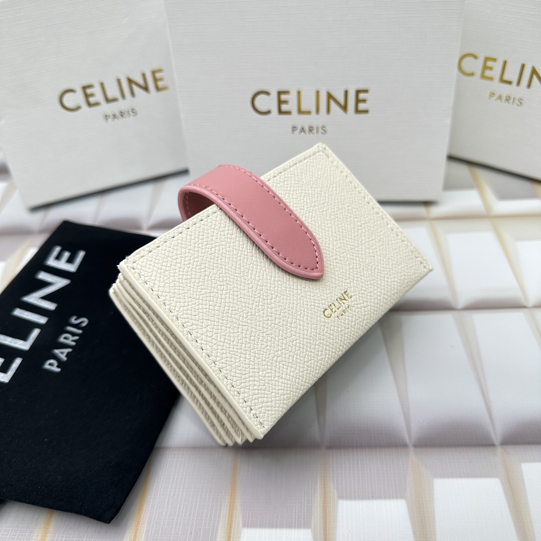 Celine 10693 11x7cm zy (20)_