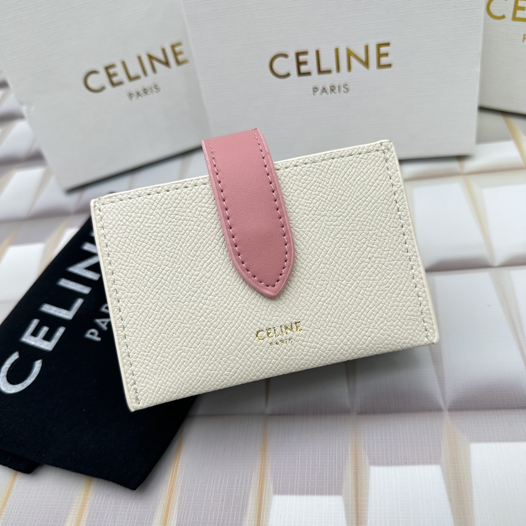 Celine 10693 11x7cm zy (21)_