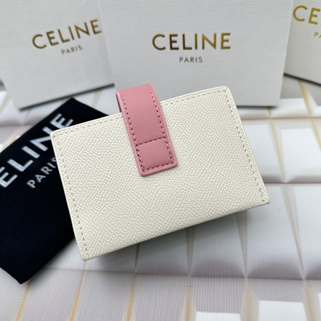 Celine 10693 11x7cm zy (22)_
