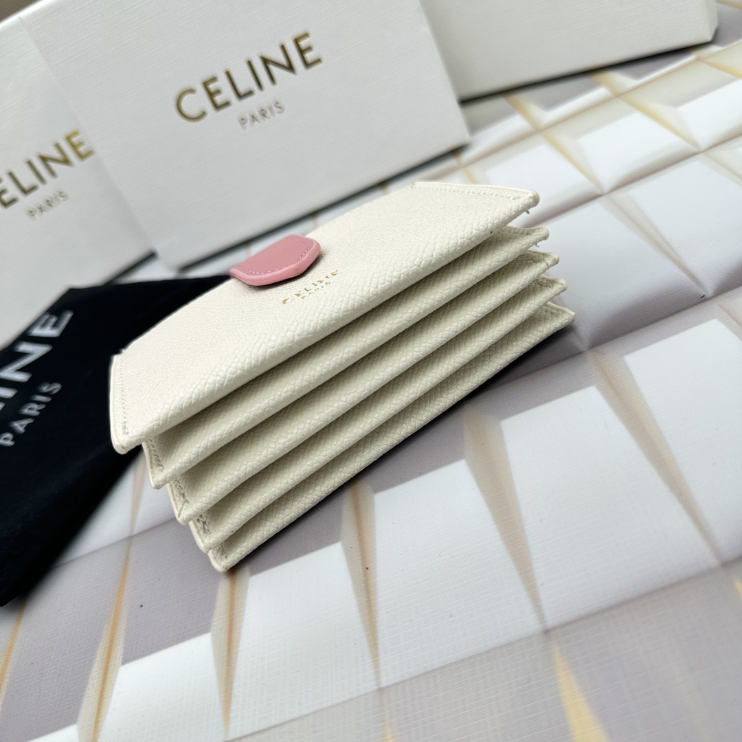 Celine 10693 11x7cm zy (25)_