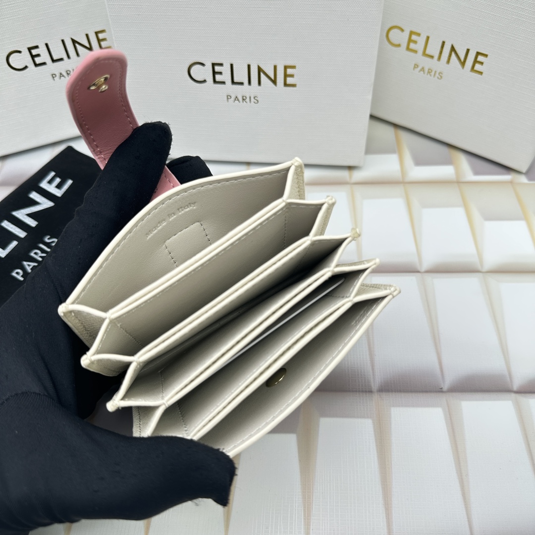 Celine 10693 11x7cm zy (26)_