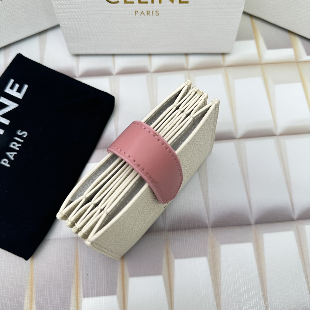 Celine 10693 11x7cm zy (27)_