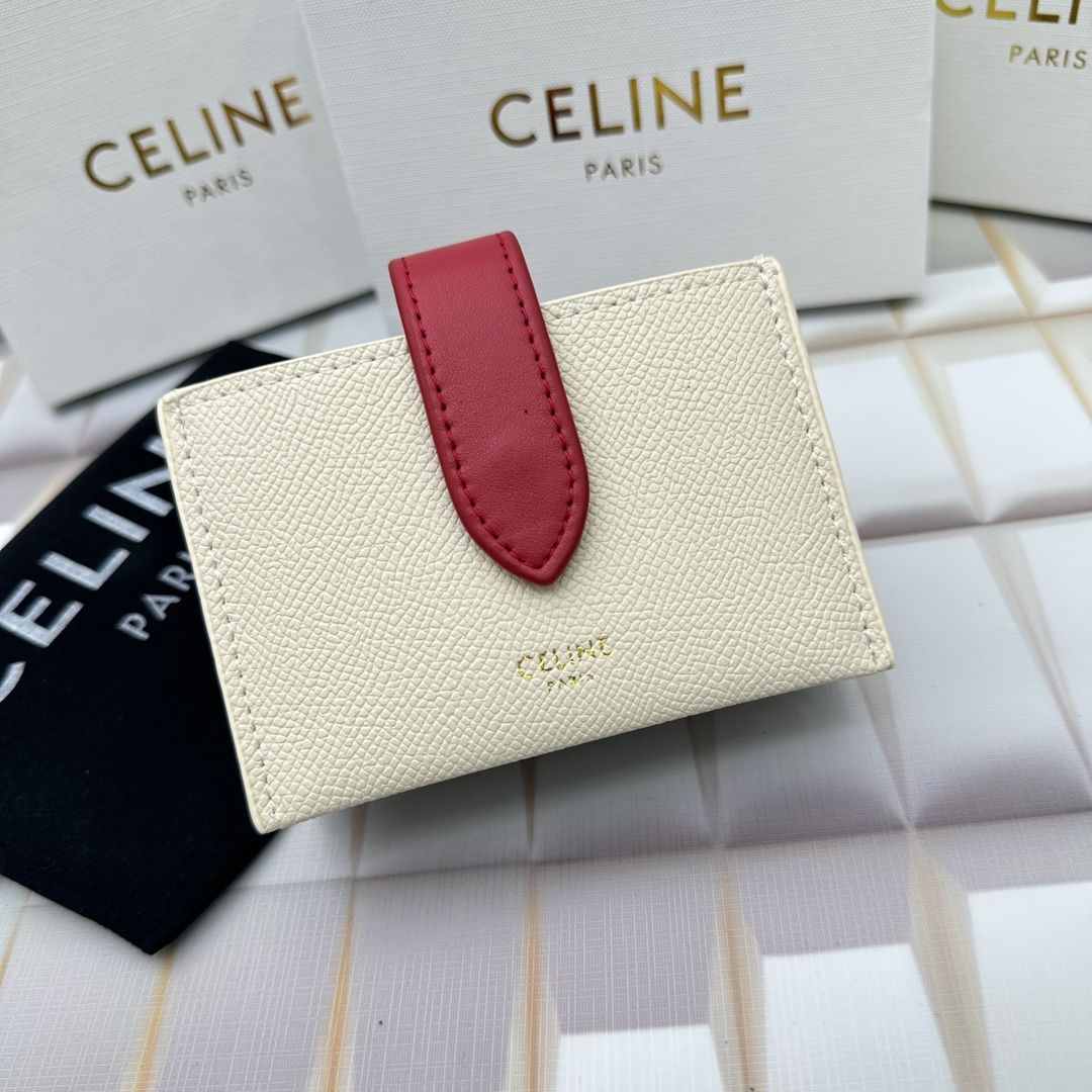 Celine 10693 11x7cm zy (29)_