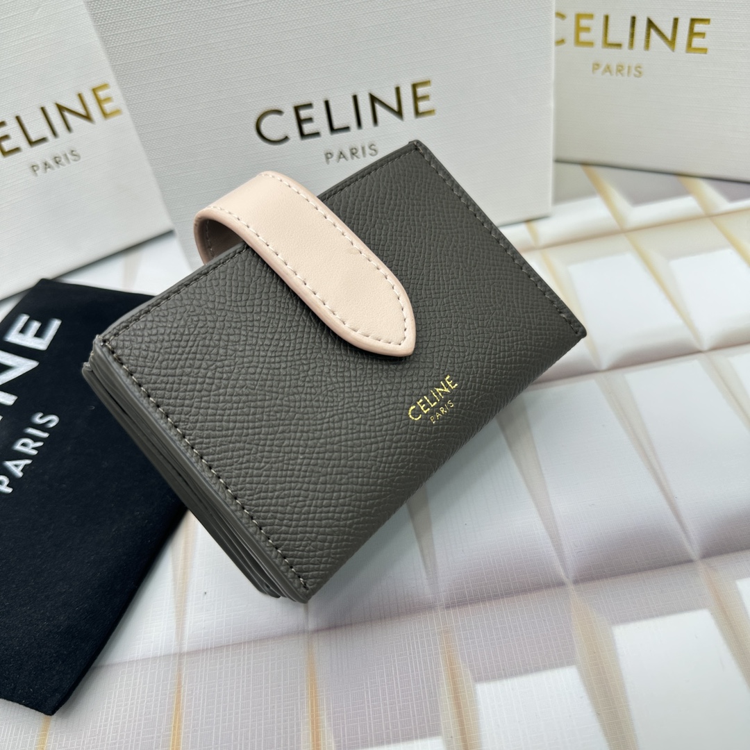Celine 10693 11x7cm zy (3)_