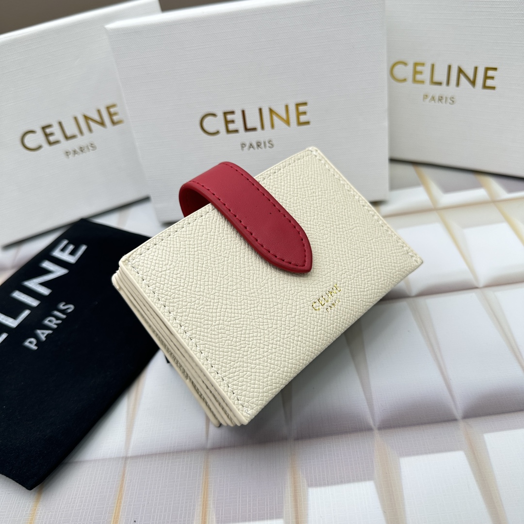 Celine 10693 11x7cm zy (30)_