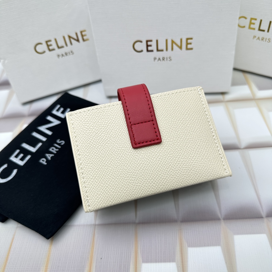 Celine 10693 11x7cm zy (31)_