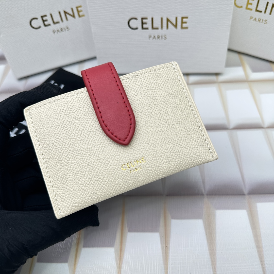 Celine 10693 11x7cm zy (32)_