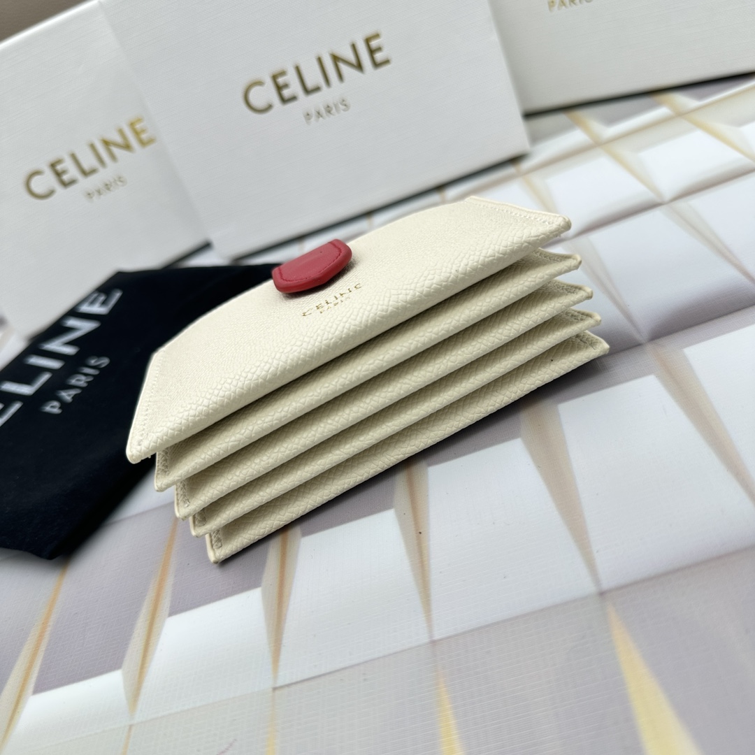 Celine 10693 11x7cm zy (34)_