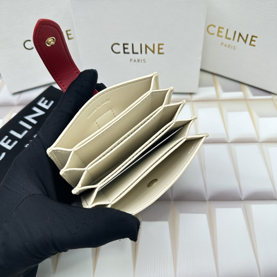 Celine 10693 11x7cm zy (36)_