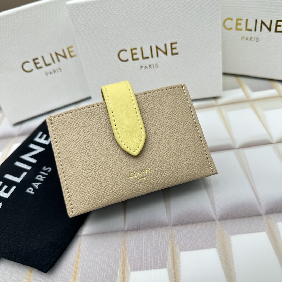 Celine 10693 11x7cm zy (38)_