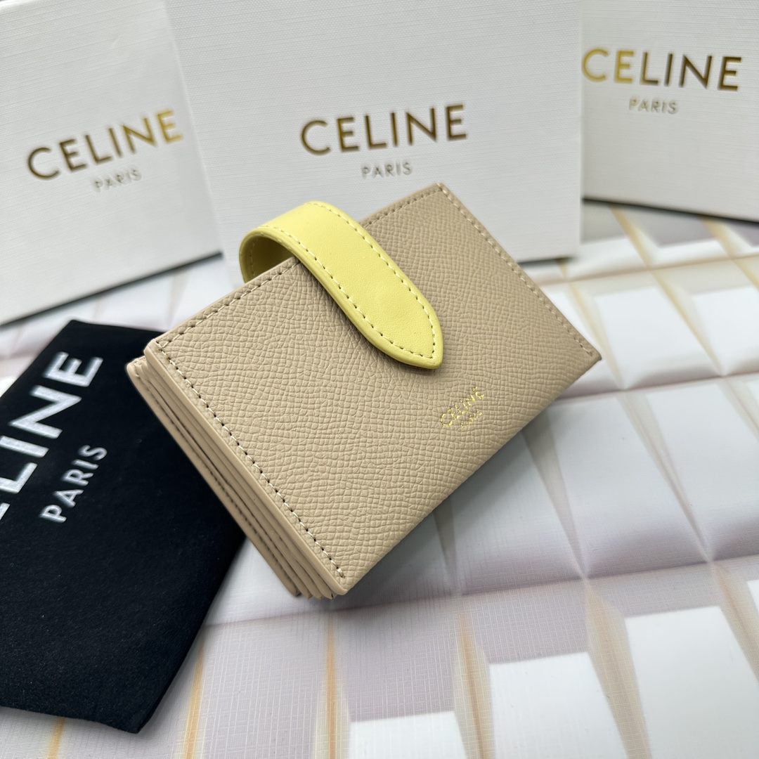 Celine 10693 11x7cm zy (39)_
