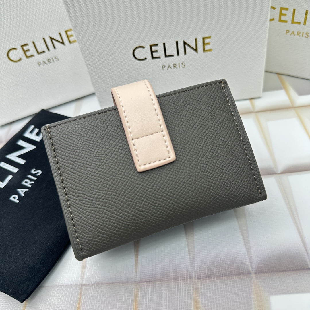 Celine 10693 11x7cm zy (4)_