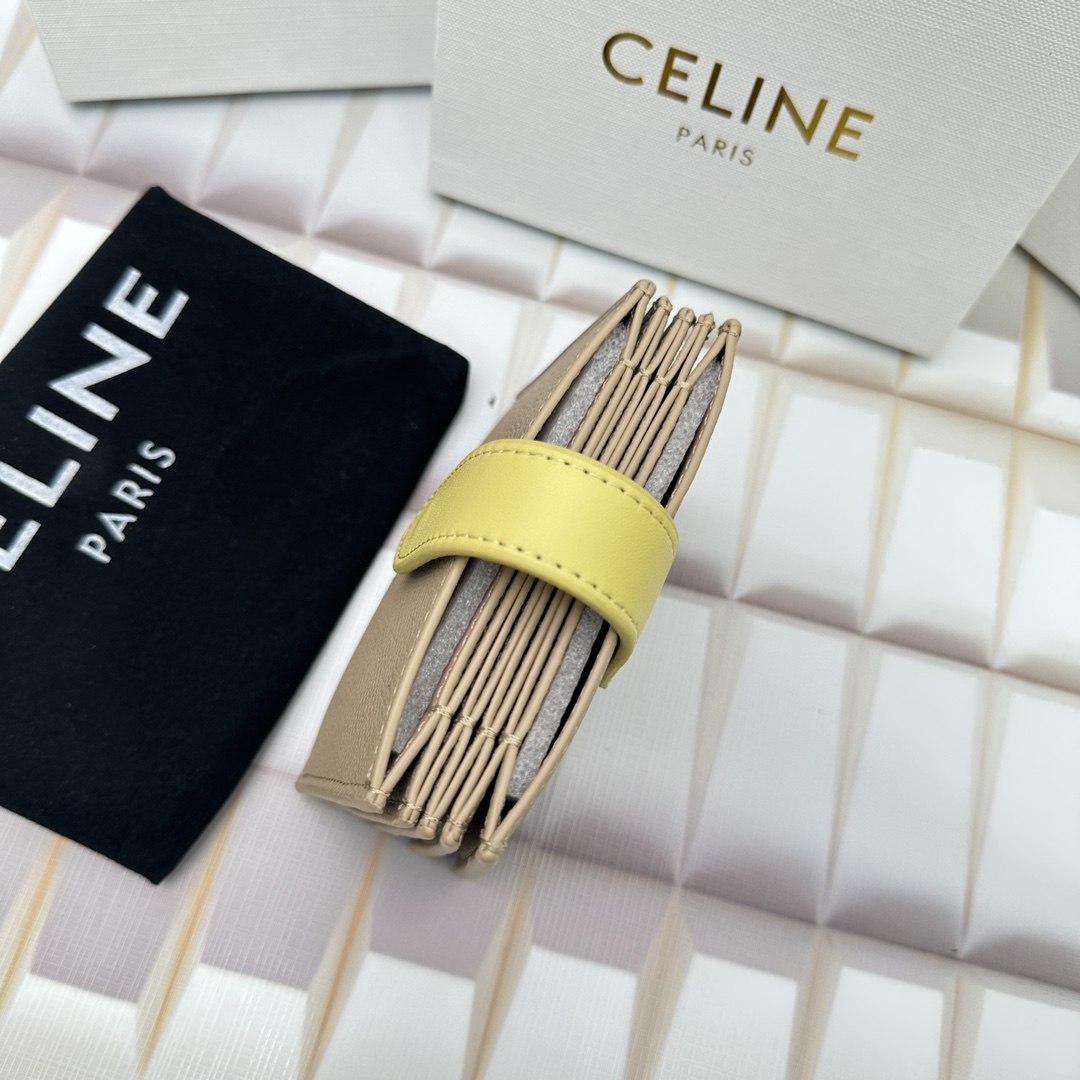 Celine 10693 11x7cm zy (40)_