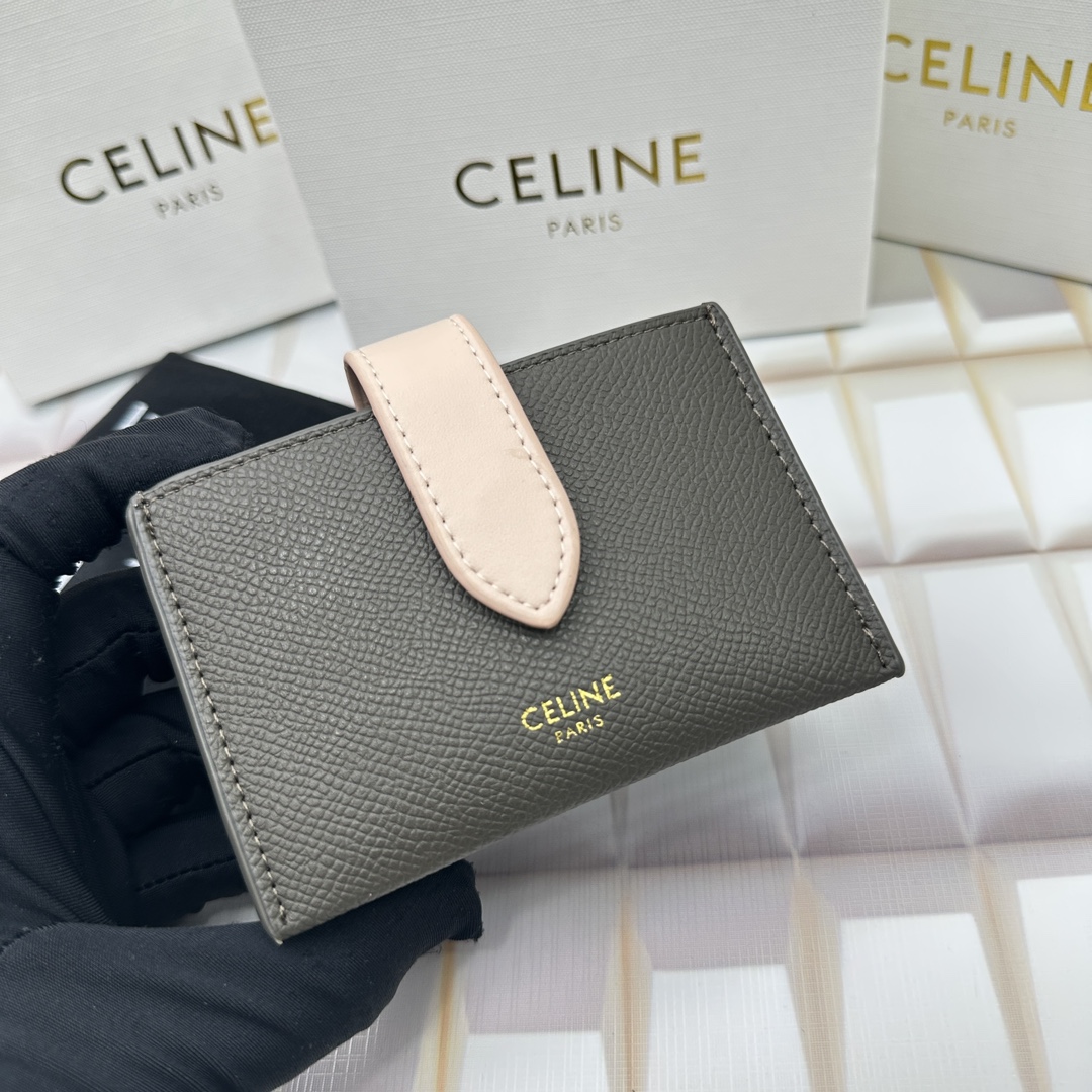 Celine 10693 11x7cm zy (5)_