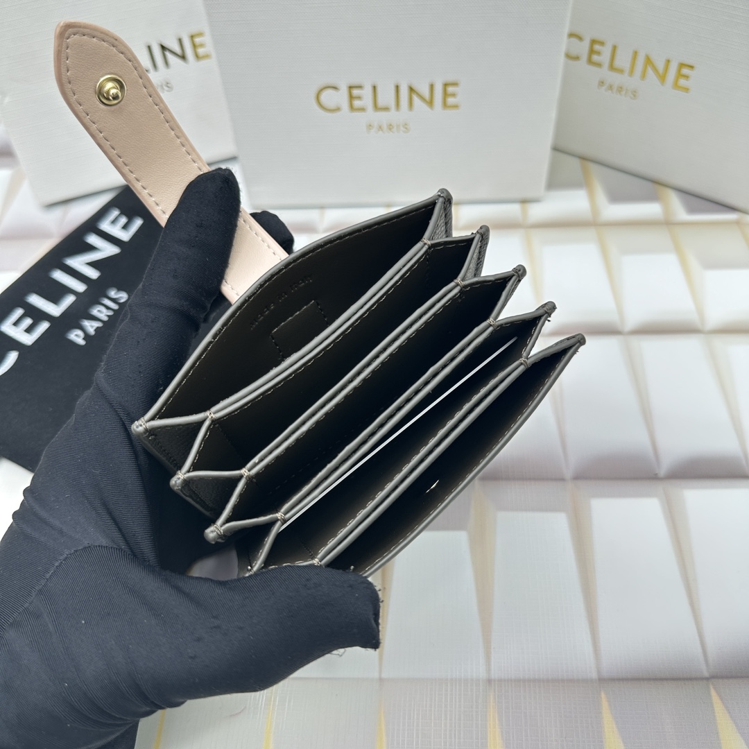 Celine 10693 11x7cm zy (9)_